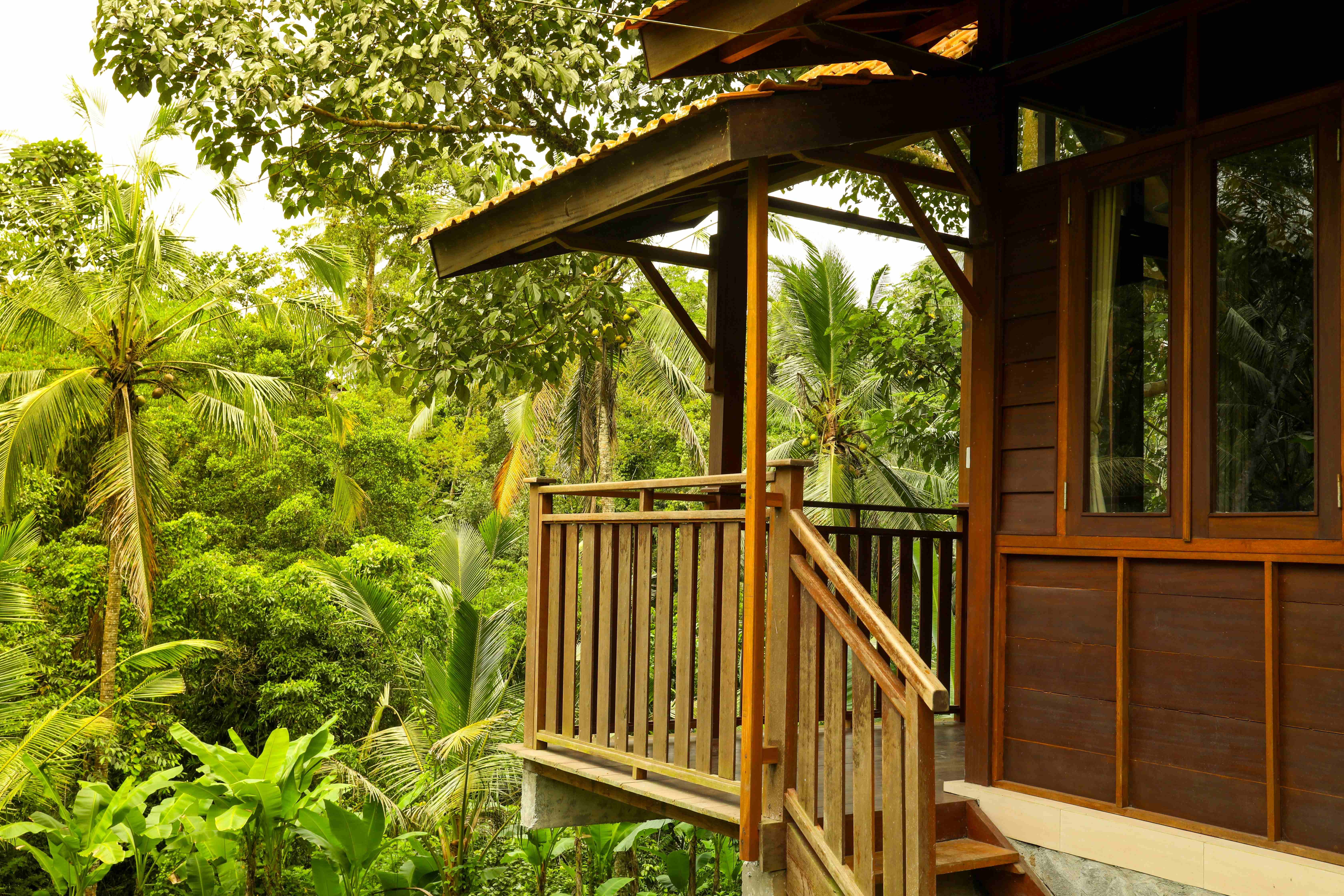 Bali Tropical Escape