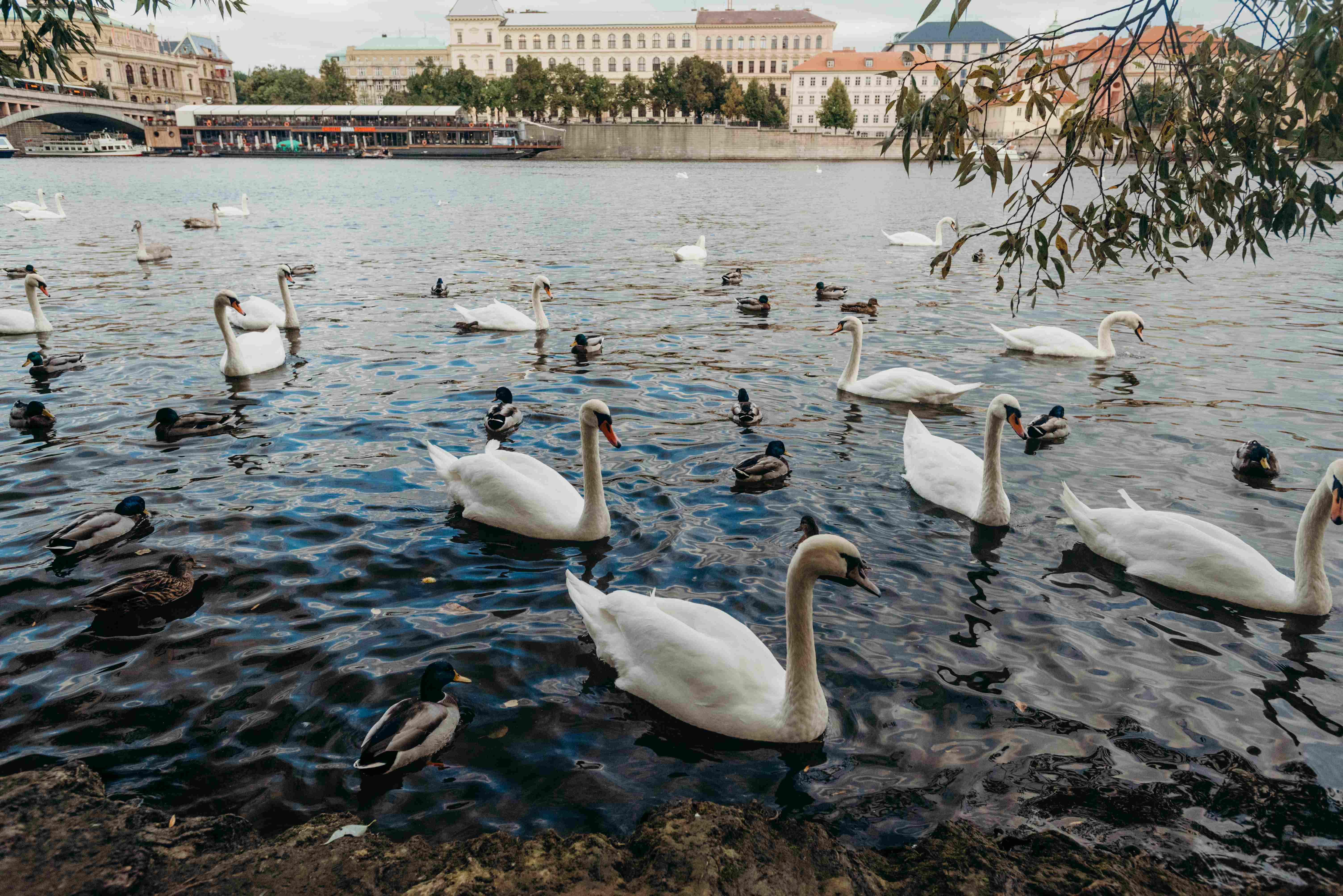 Prague City Break
